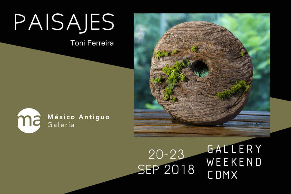 Exposición Paisajes